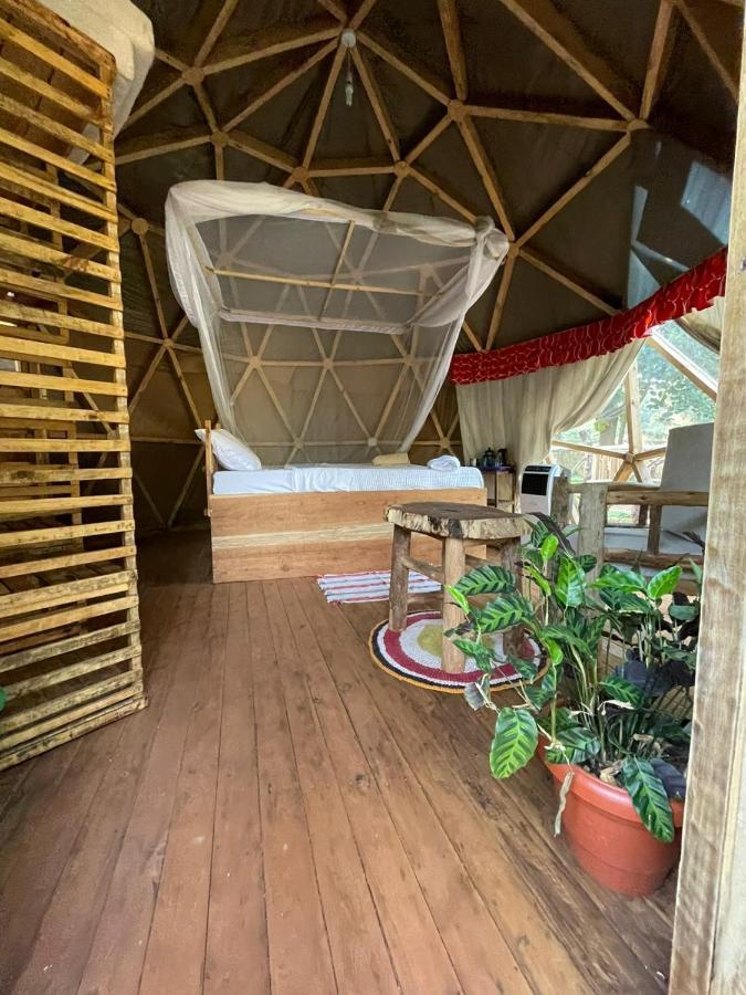 بيت شباب Jinja Backpackers المظهر الخارجي الصورة